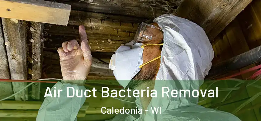  Air Duct Bacteria Removal Caledonia - WI