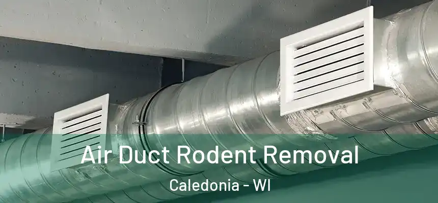  Air Duct Rodent Removal Caledonia - WI