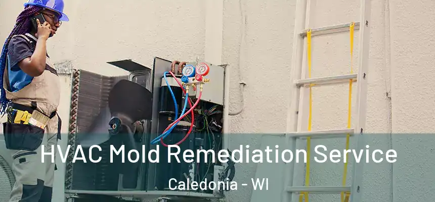 HVAC Mold Remediation Service Caledonia - WI