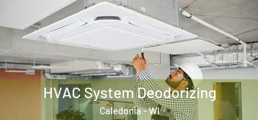  HVAC System Deodorizing Caledonia - WI