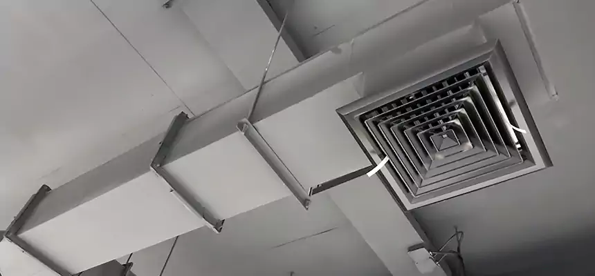 Our Rodent Droppings In Vents Services in Caledonia, WI