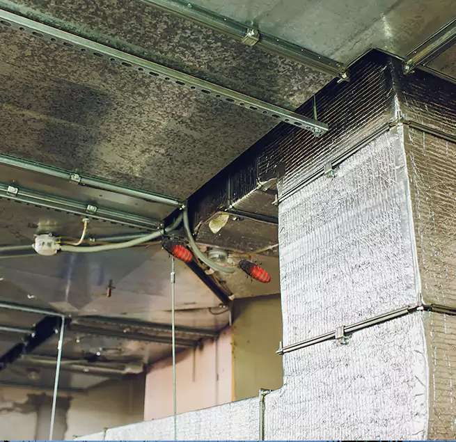 Why Homeowners & Businesses Trust Us in Caledonia, WI?