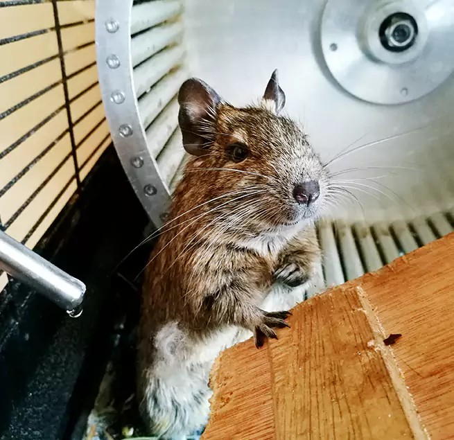 Why Homeowners & Businesses Trust Us Caledonia, WI