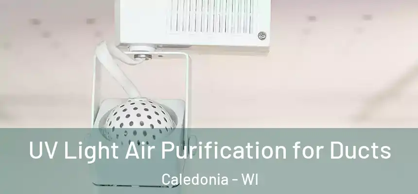  UV Light Air Purification for Ducts Caledonia - WI